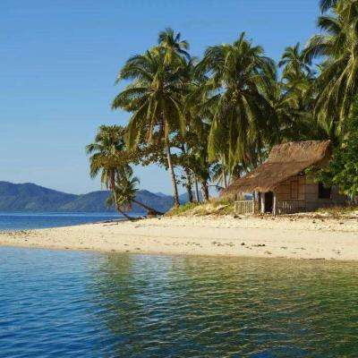 Bsport体育在线官网